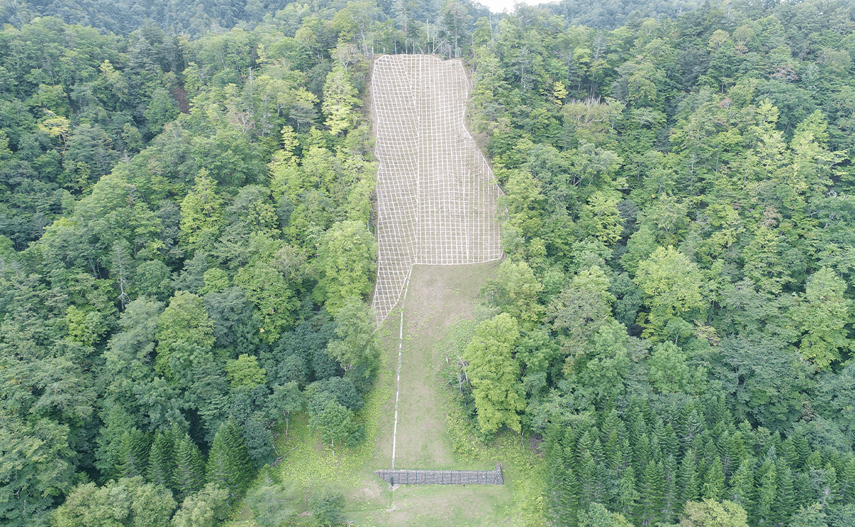 新縫別（１０１３林班）治山工事
